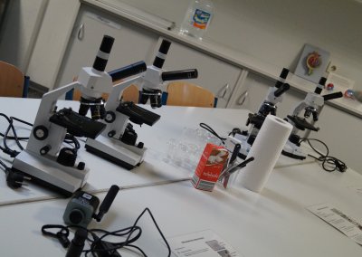 Mikroskopie in Schweden, in der Biologie